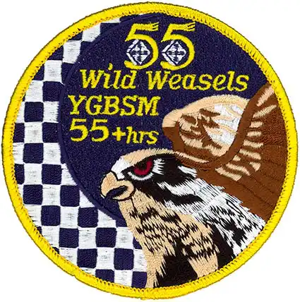 55th Fighter Squadron F 16