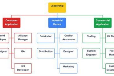 Organisation Of The Team