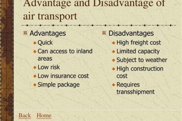 Advantages and Disadvantages of Air Transport