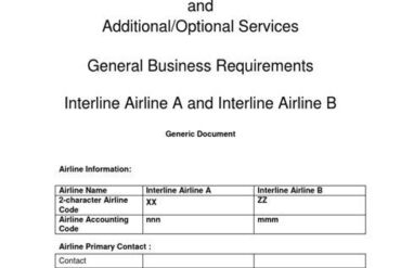 The Future of Air Travel Commerce: Understanding the Electronic Miscellaneous Document (EMD) The Future of Air Travel Commerce: Understanding the Electronic Miscellaneous Document (EMD)