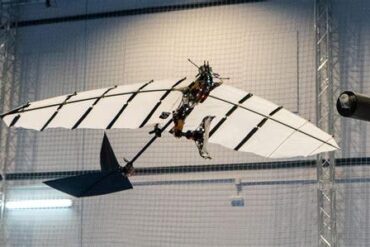 The Future of Ornithopter Drones: Exploring Efficiency, Potential, and Challenges