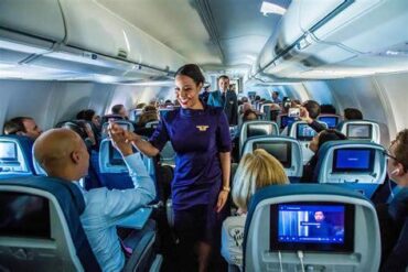 How Many Flight Attendants Are on a Plane?