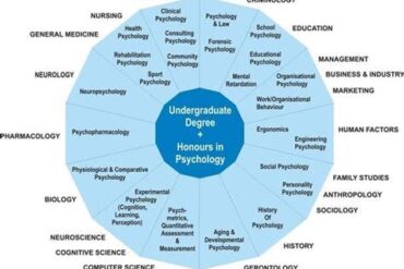 Masters in Human Factors Psychology: A Strategic Path to a Future-Proof Career