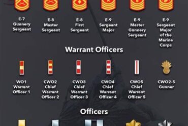 Pilot Ranks: Understanding the Hierarchy in the Cockpit