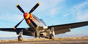 Unforgettable P-51 Mustang Rides: A Historic Aviation Experience