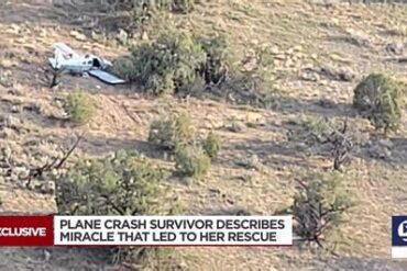 5 Tragic Plane Crashes with Only One Survivor 5 Tragic Plane Crashes with Only One Survivor