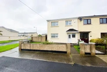 A Drone Carrying a Pipe Bomb Crashes Near an Innocent Family's Home in Finglas