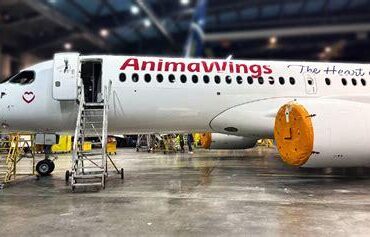 Animawings: Romania's Ascendant Airline Spreading its Wings Across Europe and Beyond Animawings: Romania's Ascendant Airline Spreading its Wings Across Europe and Beyond