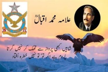 Pakistan Air Force: A Legacy of Valour and Technological Advancement