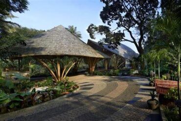 Celebrate International Yoga Day in Coorg’s Forest Paradise at Timbertales Luxury Resort