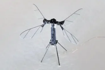 China’s Mosquito-Sized Military Drone Could Redefine Covert Warfare Tactics