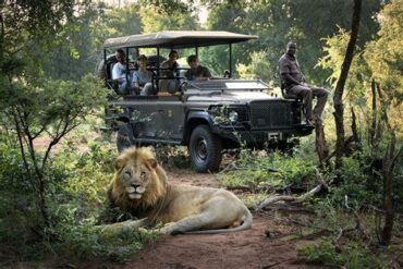 Experience South Africa’s Revolutionary Pay-What-You-Can Safari at Few & Far Luvhondo Experience South Africa’s Revolutionary Pay-What-You-Can Safari at Few & Far Luvhondo