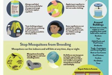 Florida Joins Southern States in Mosquito Battle: Summer Travel Alert for Tourists