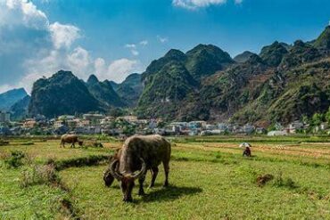 A French Traveler's Heartfelt Journey: Love and Transformation in Ha Giang, Vietnam A French Traveler's Heartfelt Journey: Love and Transformation in Ha Giang, Vietnam
