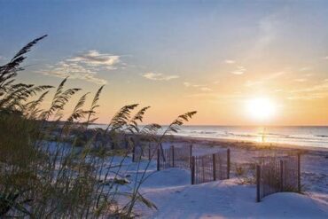 Hilton Head Island Joins the Ranks of Shark Encounter Beaches: What Tourists Need to Know This Summer