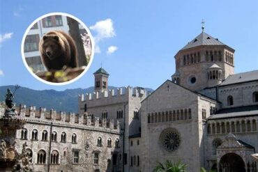 Italy Issues Urgent Safety Alert for Holidaymakers Amid Rising Bear Encounters in Trentino's Alpine Wilderness Italy Issues Urgent Safety Alert for Holidaymakers Amid Rising Bear Encounters in Trentino's Alpine Wilderness
