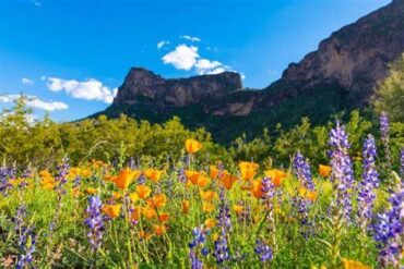 Scottsdale Emerges as Arizona's Luxury Desert Haven for Springtime Global Travelers
