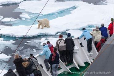 Svalbard's New Polar Bear Proximity Rules: Transforming Your Arctic Adventure Experience in 2025