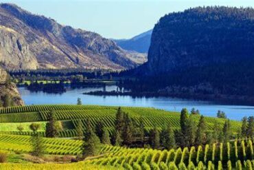 British Columbia’s Iconic Wineries Introduce Luxurious Yacht Wine Tours in the Okanagan Valley