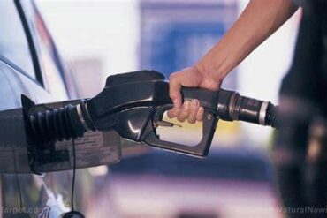 US Gas Prices Plummet to $3 per Gallon for Independence Day: Essential Insights for Travelers US Gas Prices Plummet to $3 per Gallon for Independence Day: Essential Insights for Travelers