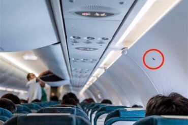 The Hidden Function Behind the Black Paint Under Cockpit Windows - Bolt ...