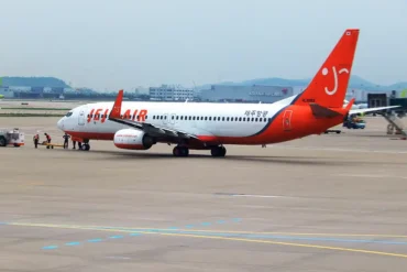 Jeju Air Interim Report: Pilots Shut Down Wrong Engine After Bird Strike, Killing 179