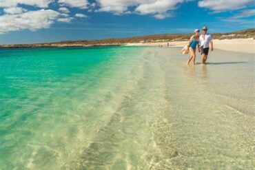 Ningaloo Reef, Kakadu, Tasmania, and Darwin Cruise Deals: A Catalyst for Australia’s Regional Tourism Revival
