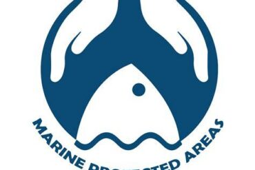 South Africa's Innovative Digital Maps Enhance Marine Protected Areas Awareness Ahead of MPA Day