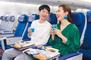 Tips to Make the Most of ANA Economy Class