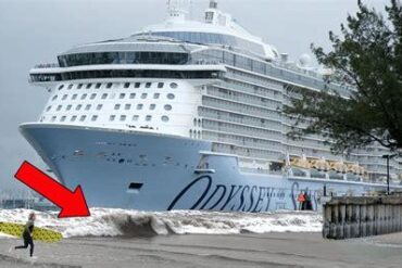 Will a Tsunami Destroy a Cruise Ship? Here's the Surprising Truth