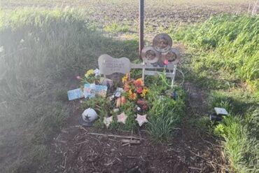 The Plane Crash Site of Buddy Holly (2025): A Sacred Landmark of Rock 'n' Roll History