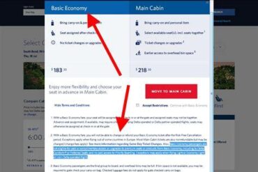 Delta Basic Economy: Restrictions, Rules, and Real Value for Travelers