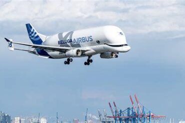 Why Retiring an Airbus Beluga Sounds Simple—But Isn’t Why Retiring an Airbus Beluga Sounds Simple—But Isn’t