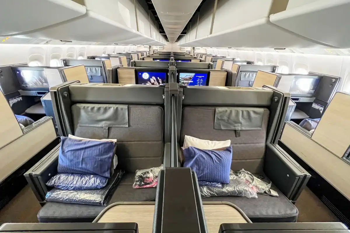 All Nippon Airways The Room business class