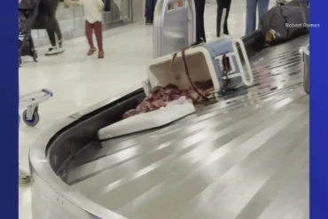 Chaos at Phoenix Airport: Raw Deer Meat Spills Across Baggage Carousel