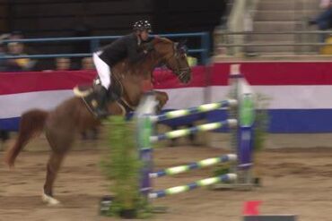 Flying Champions Across Continents: Inside Cathay Cargo’s Precision Transport of Elite Showjumping Horses