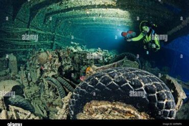 SS Thistlegorm Shipwreck: From WWII Bombing to an Eerie Underwater Wildlife Sanctuary SS Thistlegorm Shipwreck: From WWII Bombing to an Eerie Underwater Wildlife Sanctuary