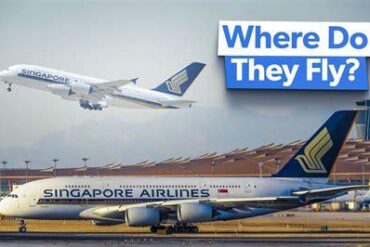 Why Singapore Airlines Still Uses the Airbus A380 on Its Longest Routes