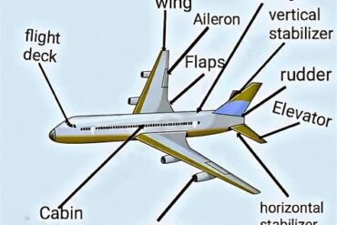 5 Aircraft Pilots Trust Most: The Airliners and Trainers That Earned Legendary Confidence