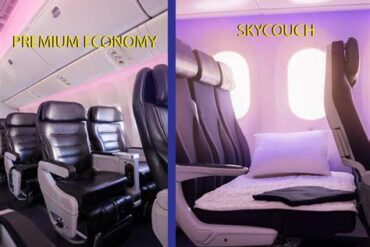 Air New Zealand Skycouch Vs. Premium Economy: Which Upgrade Actually Delivers Better Value?