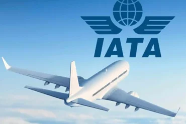 IATA Cuts Airline Profit Forecast to $23 Billion as Fuel Crisis Threatens More Budget Carrier Failures