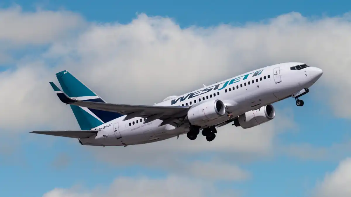 WestJet Boeing 737 aircraft flying between Canada and United States routes