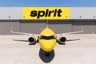 Google Wins $10 Million Spirit Airlines Data Auction to Train AI Models