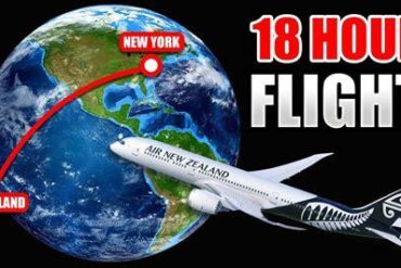 Air New Zealand’s 13 Longest Flights: Up to 16 Hours Nonstop Across the Pacific
