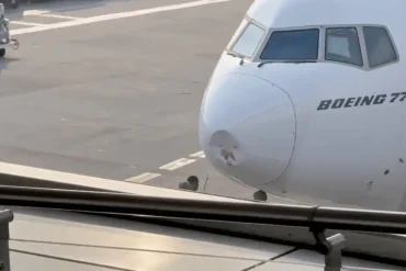 Emirates Boeing 777 Grounded Overnight in Delhi: Bird Strike Damages Nose Cone and Delays EK517 by 17 Hours