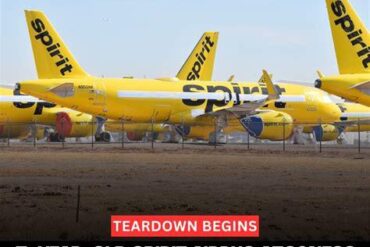 Two 4-Year-Old Spirit Airlines Airbus A320neos Were Scrapped — Here’s Why Their Engines Were Worth More Than the Jets