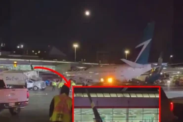 WestJet 737 MAX 8 Winglet Strikes Catering Truck at Toronto Pearson During Towing, TSB Confirms